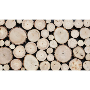 Dřevěný obklad PURE
